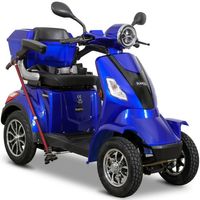 Sanitaetshaus-MOBIL.com, UA-88053766-1 Quads, Elektromobile, - Roller Trikes